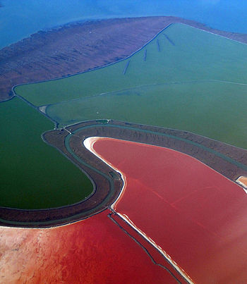 The red color in these ponds is from Dunaliell... The red color in these ponds is from Dunaliell...